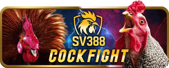 Cá cược Đá Gà ga678
